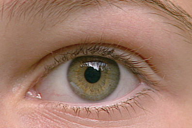 Oeil gauche
